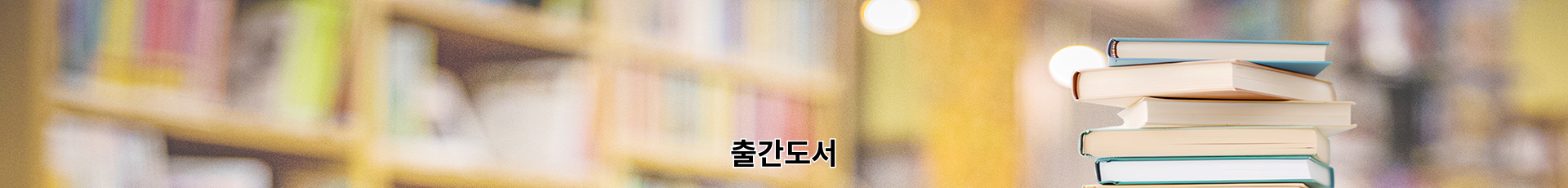 서브img_출간도서