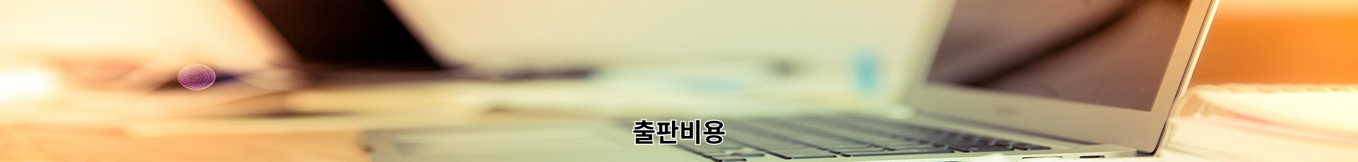 서브img_출판비용